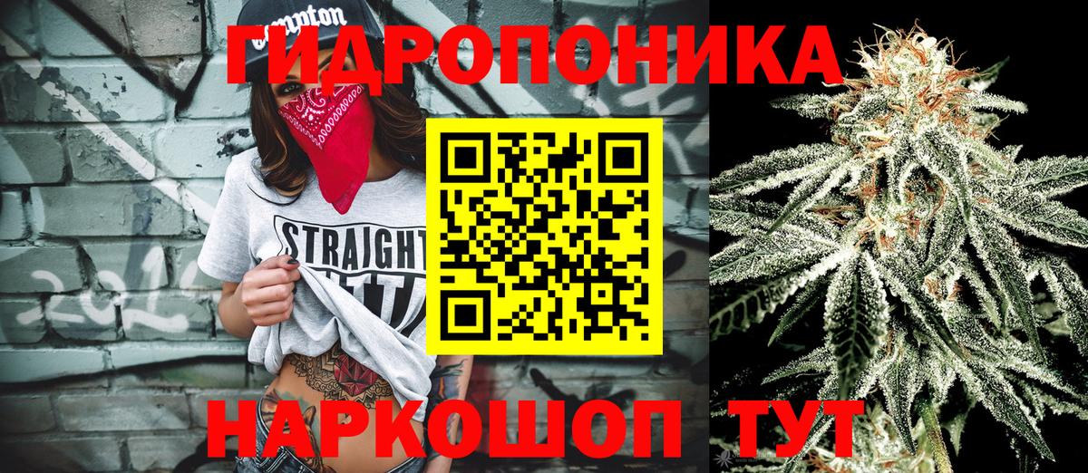 Конопля Ganja Солнечногорск
